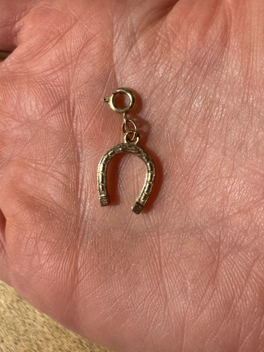 Horseshoe Charm Pendant in Metallic Gold - Picture 4 of 5